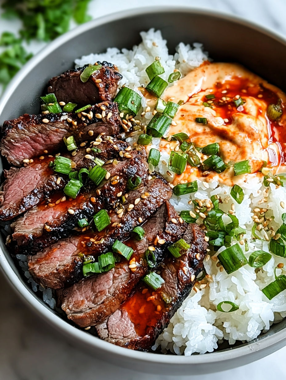 Eine Schale mit Reis und Fleisch.