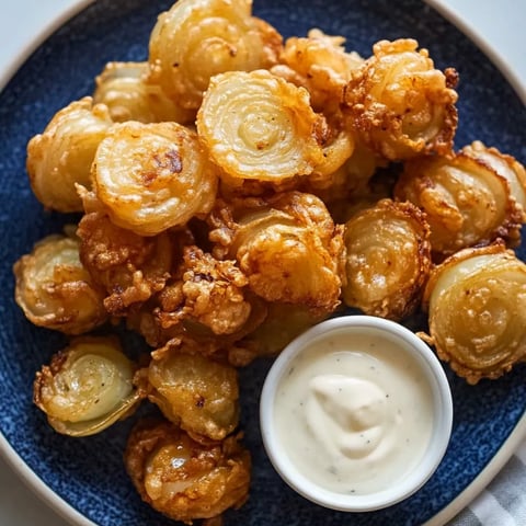 Ein Teller mit frittierten Zwiebeln und einem Dip.